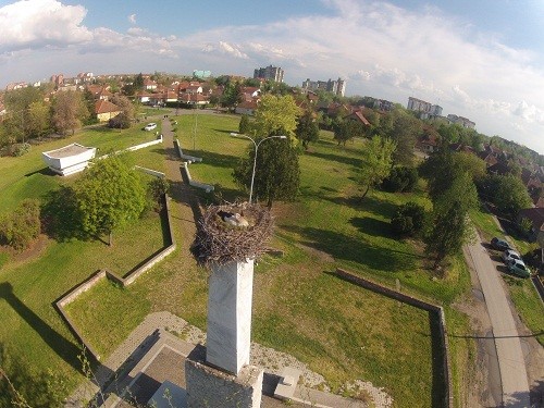 Zrenjanin iz ptičije perspektive