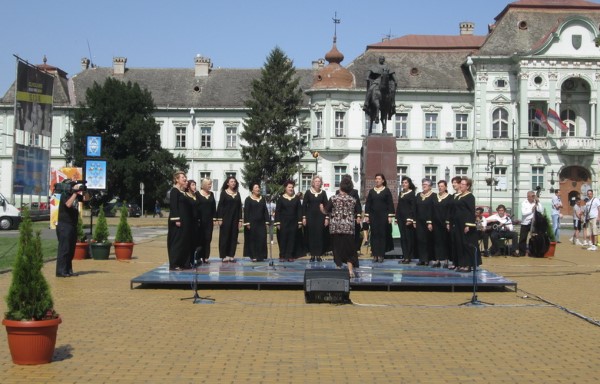 zikina-sarenica-zrenjanin1