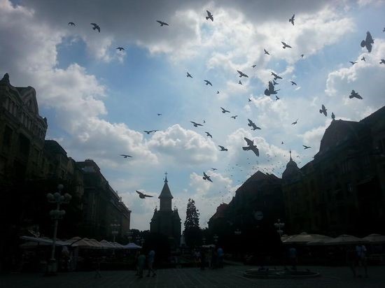 Neobičan detalj na Trgu Pobede: Naišao je oblak, a jato golubova poletelo u tom trenutku