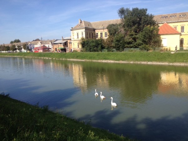 labudovi-jezero