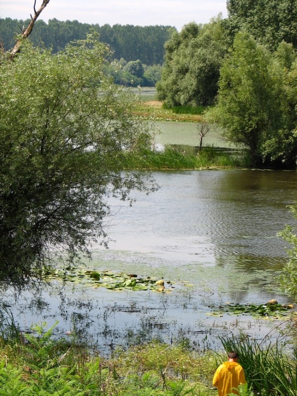 potisje-naslovna