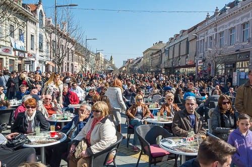 parni-valjak-koncert-zrenjanin-201500021