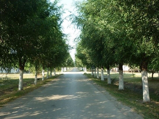 belo-blato2