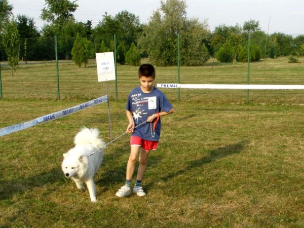 Decija izlozba pasa 1