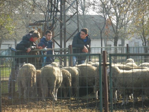 Poljoprivredna-skola-djaci