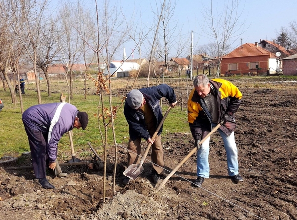 slika3 park muzlja