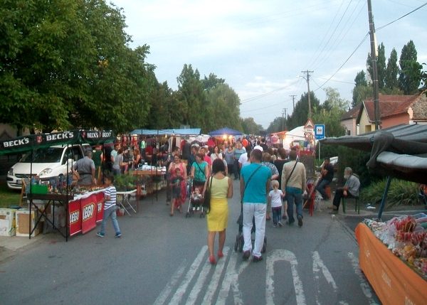 slika3 banatska muzlja