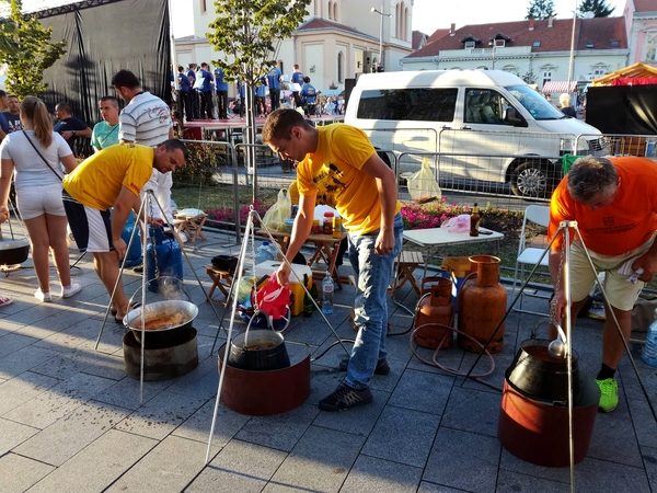 slika1 kotlic zrenjanin