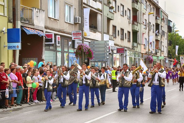 grozdjebal 2017 vrsac1