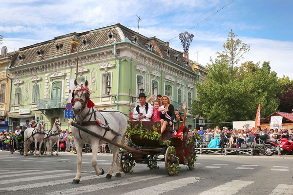 grozdjebal 2017 vrsac3