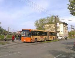 net bus