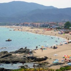 sarti