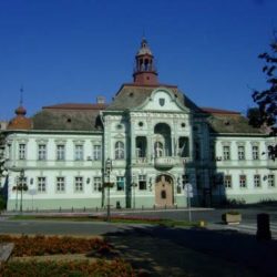 Gradska vlast1