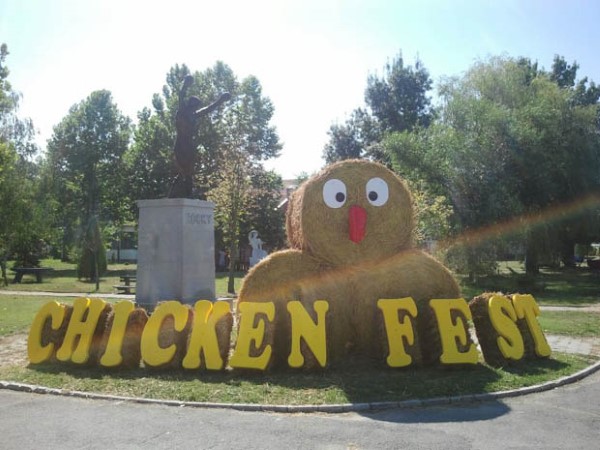 chicken fest zitiste