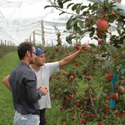 agronomi ilovezrenjanin