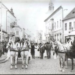 dani piva prvi zrenjanin