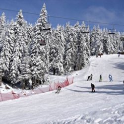 Kopaonik
