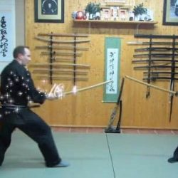 Bujinkan Zrenjanin