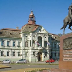 srb zrenjanin