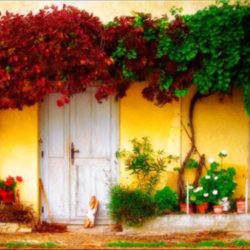 A Simple Life