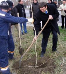 DobroDrvo sadnja 11