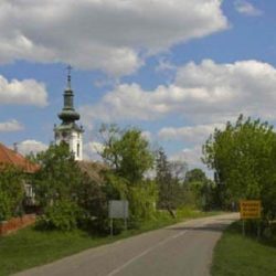 aradac