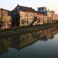 pivara zrenjanin