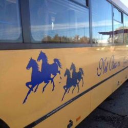 Net bus 1
