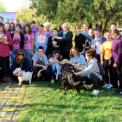 baby beta kraj projekta baci kosku zrenjanin