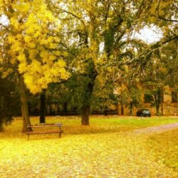 park
