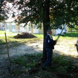 radna akcija zeleno polje zrenjanin gradjani rade