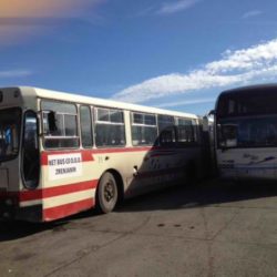 Net bus1
