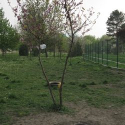 setaliste