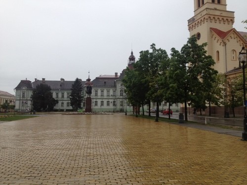 poslovni savet zrenjanin