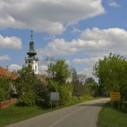 aradac