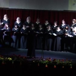 festival slobodan bursac