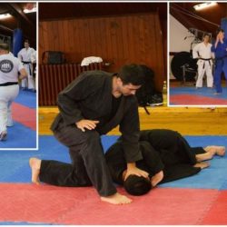 tekvondo karate ninjutsu