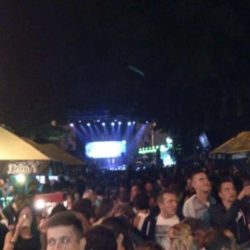 dani piva