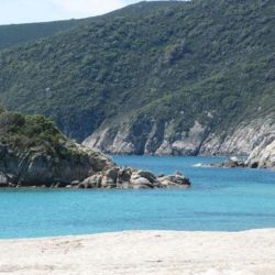 Sitonija