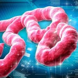ebola