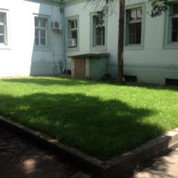 mini zoo vrt