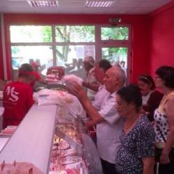 mrksici zeleno polje3