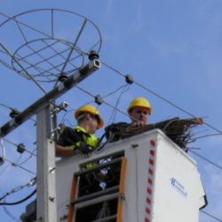 rode elektrovojvodina 1 660x330