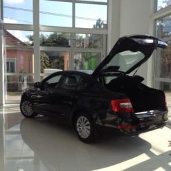 skoda salon octavia