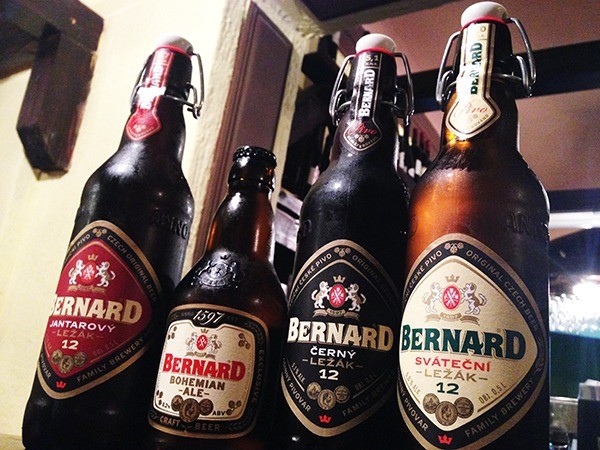 bernard beer 1