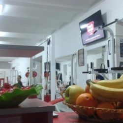Steffani 1 e1418661777580
