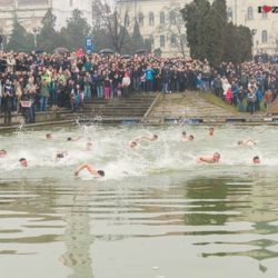 bogojavljenje plivanje za casni krst 2015 zrenjanin 011