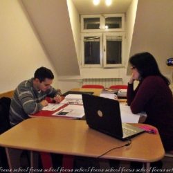 individualni casovi focus zrenjanin 1