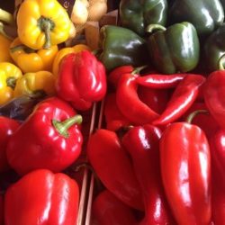 pijaca paprika