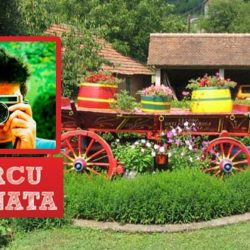idea kviz u srcu banata